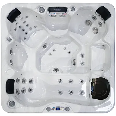 Avalon EC-849L hot tubs for sale in Greenville