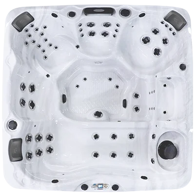 Avalon EC-867L hot tubs for sale in Greenville