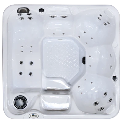 Hawaiian PZ-636L hot tubs for sale in Greenville